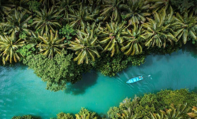 Sungai-Maron