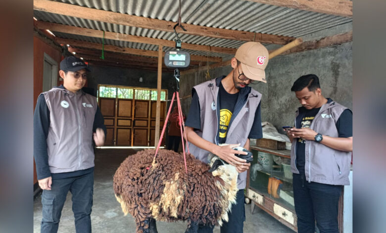 Timbangan