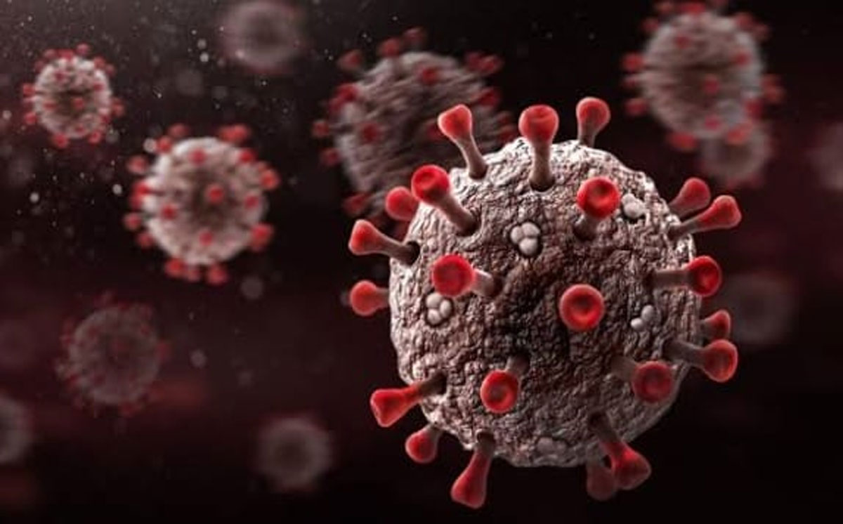 Virus