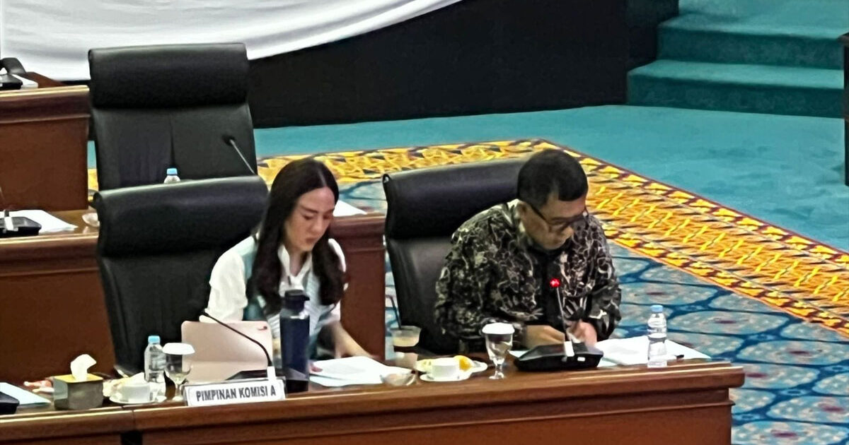 Alia-Noorayu-Laksono