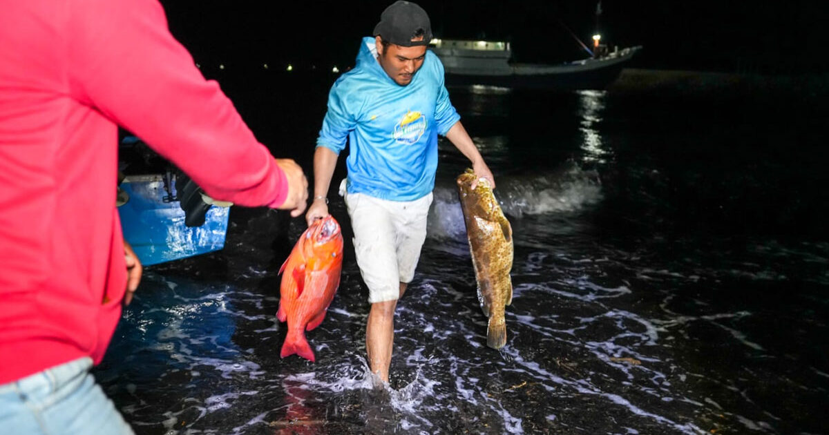 Ikan
