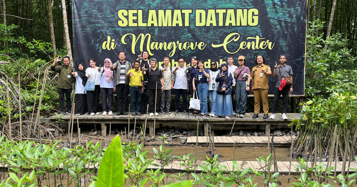 Mangrove-Center