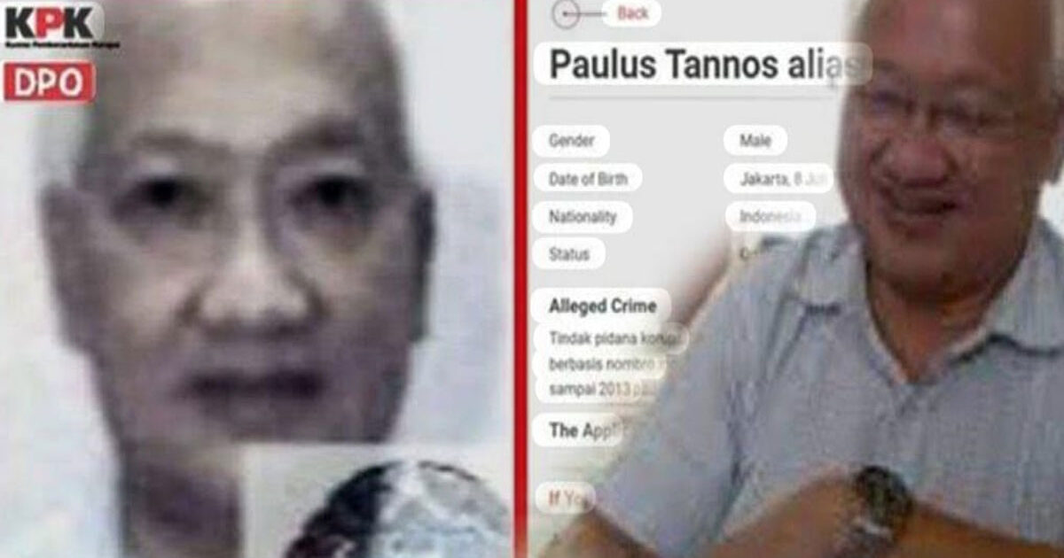 Paulus-Tannos