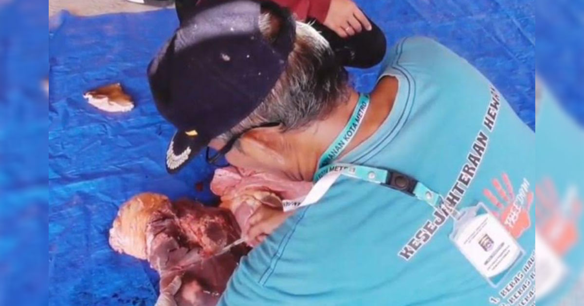 kurban