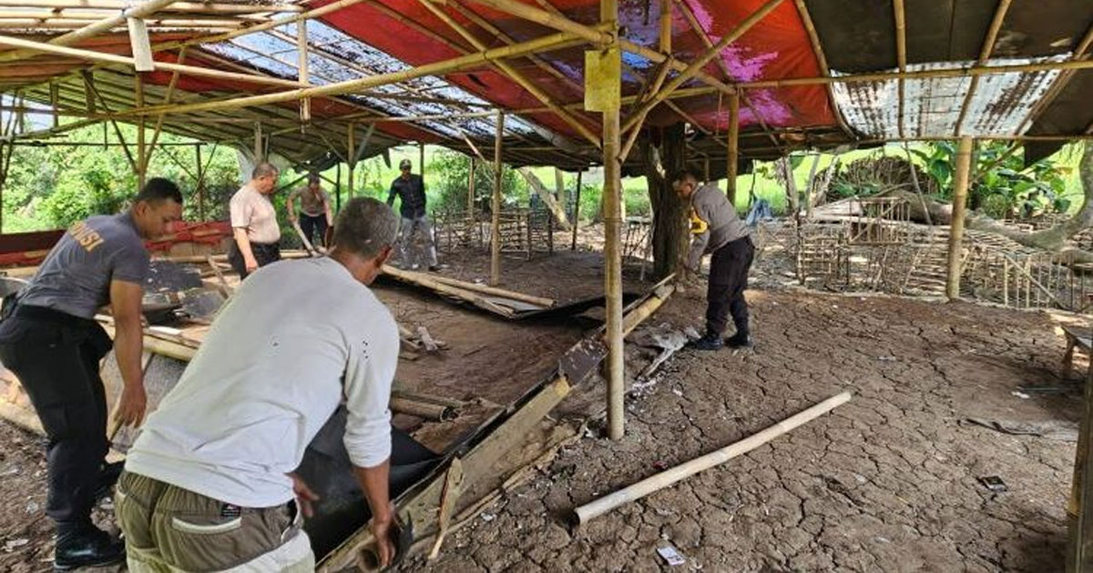 sabung ayam
