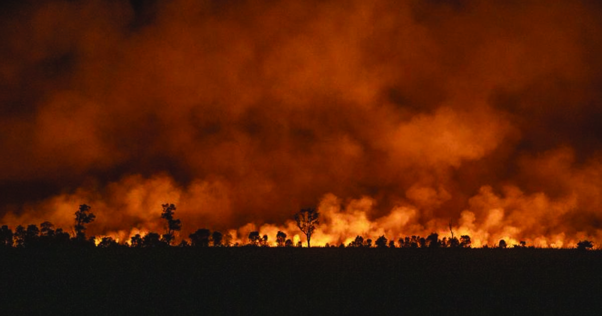 bakar