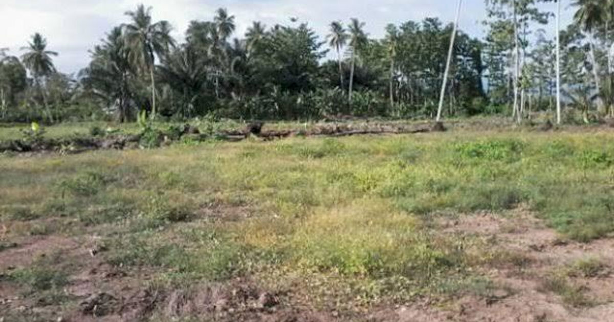 Lahan-Kosong