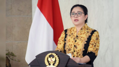 Puan-M