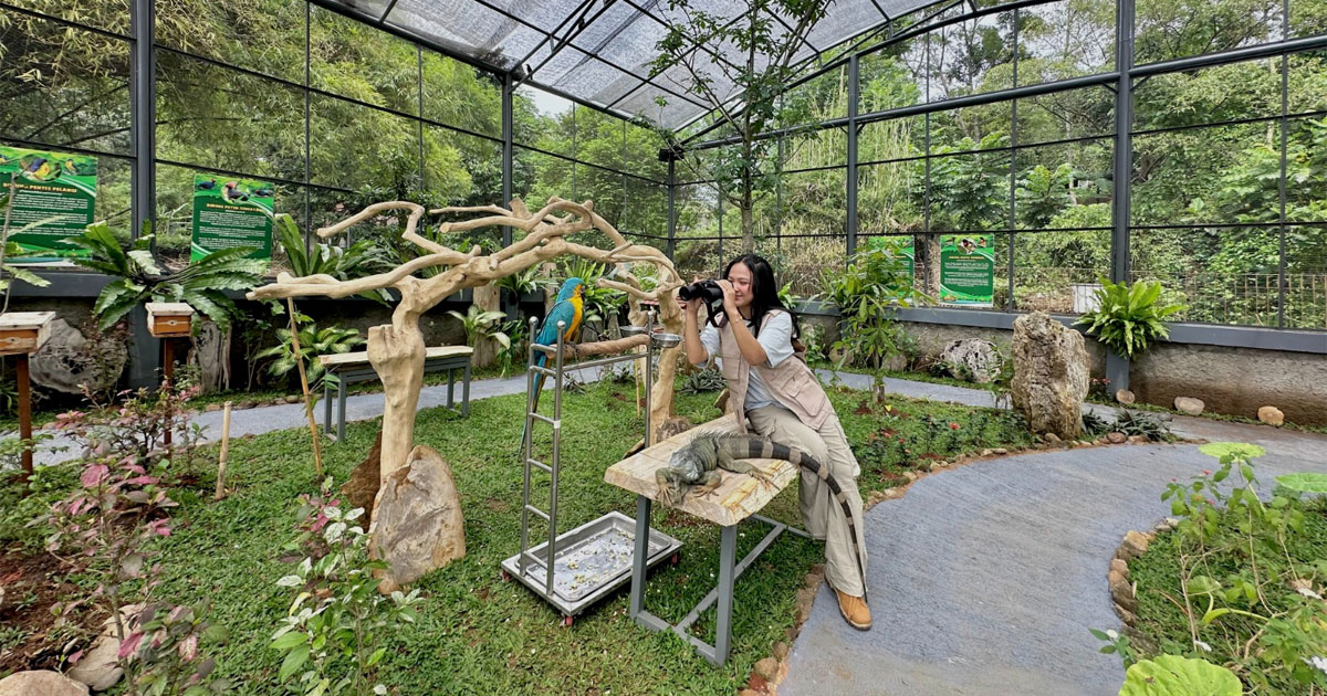 Taman-Burung