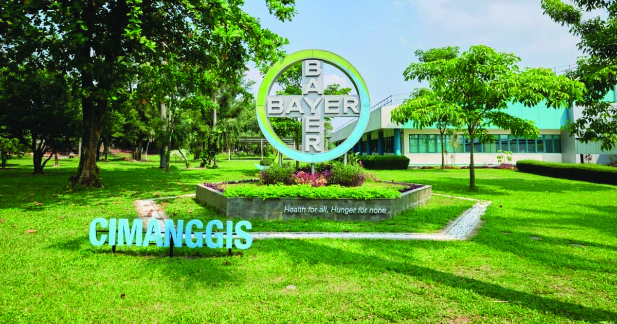bayer