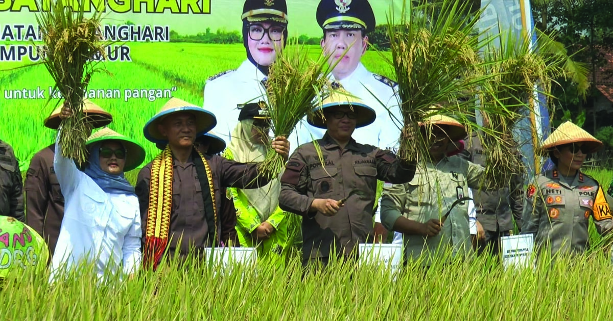 lampung