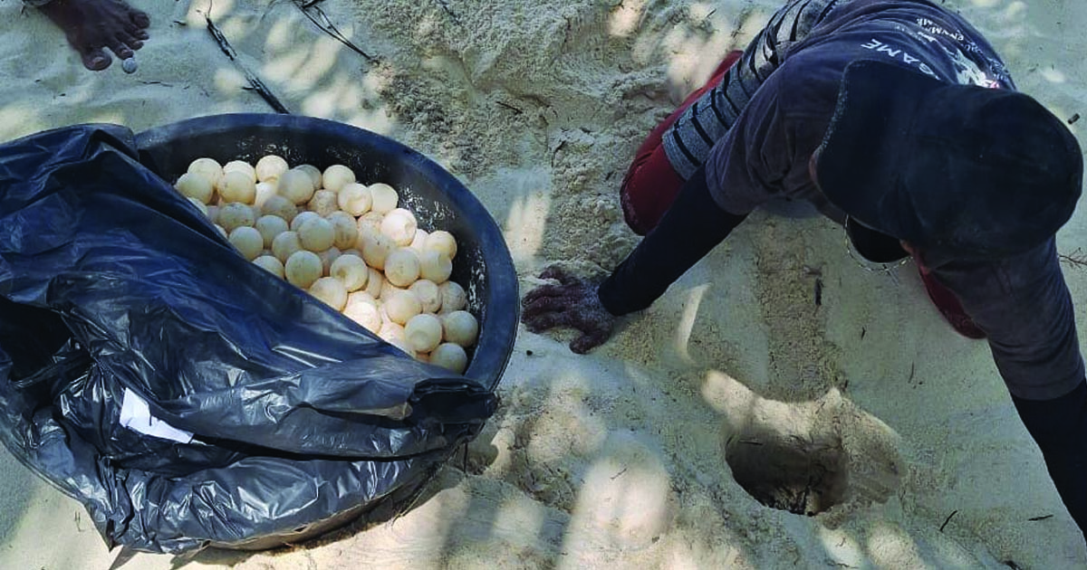 telur