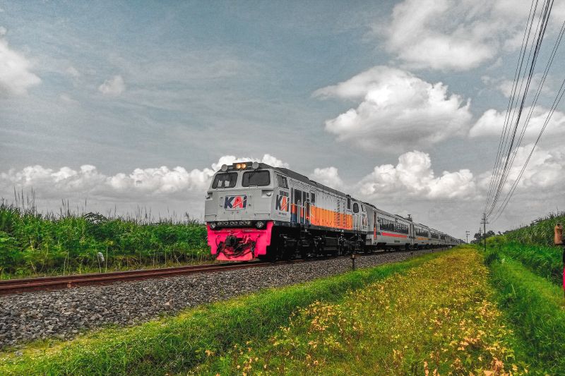 IMG-20250813-WA0074(1)