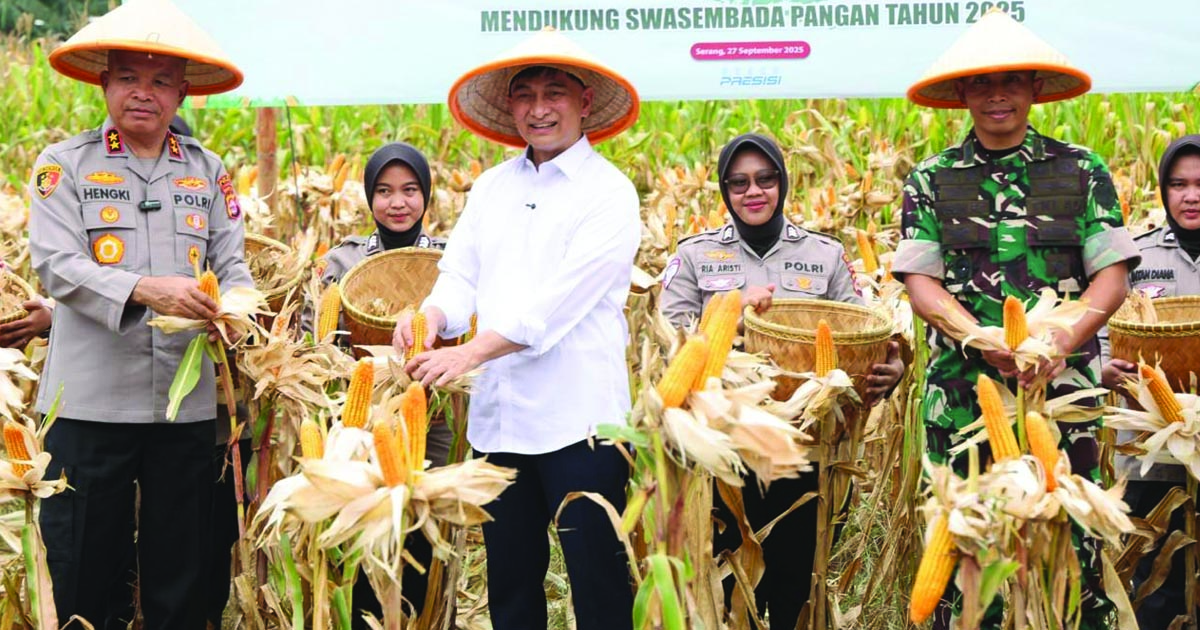 jagung