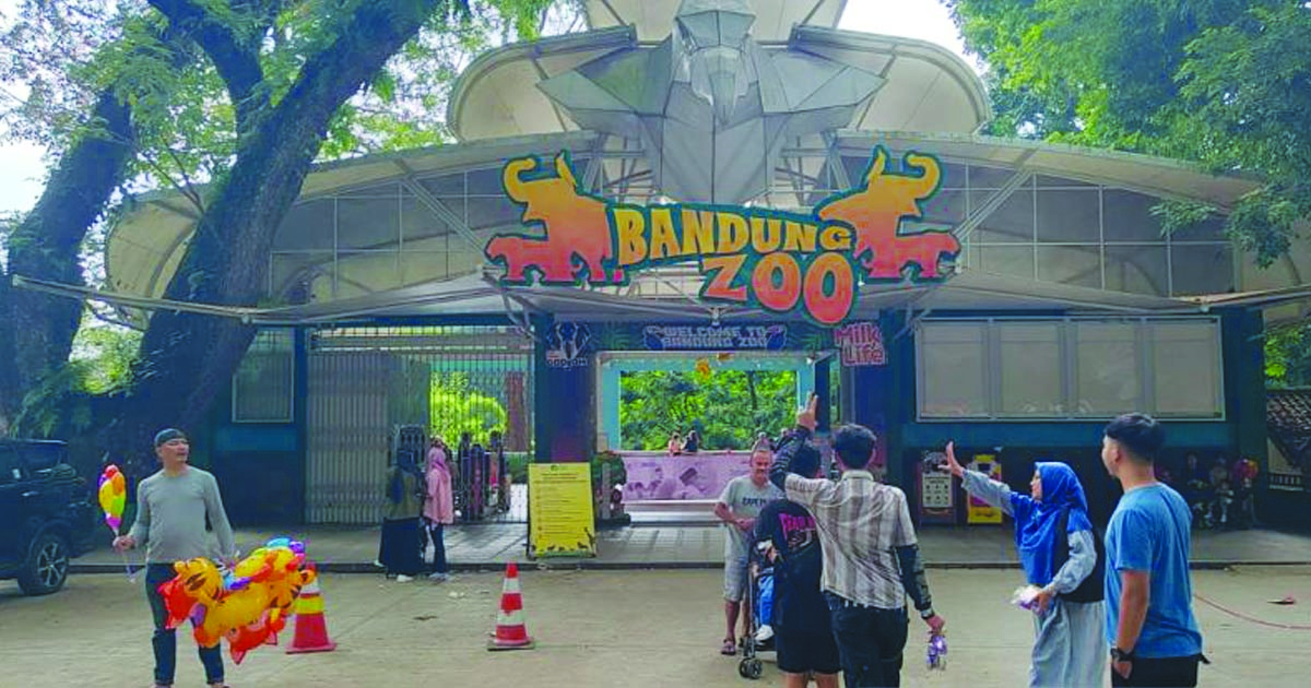 zoo