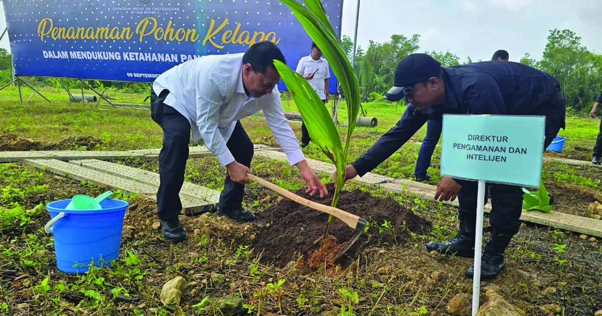 ditjen