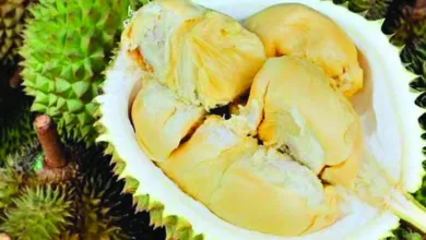 durian