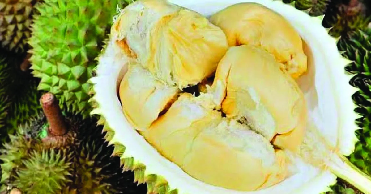 durian